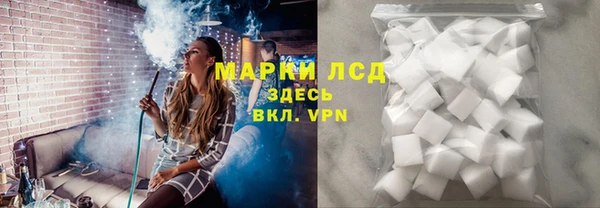 СК Покачи