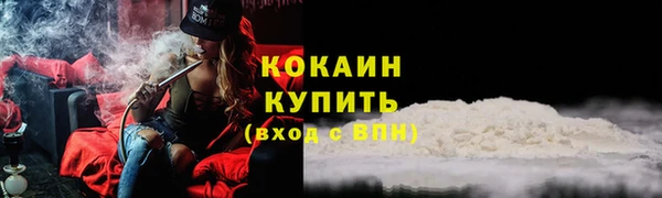 прущие грибы Абаза