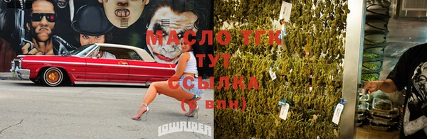 прущие грибы Абаза